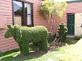 Tasmanian Gardener
